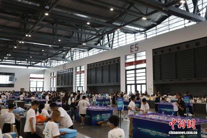 2026世界杯：赛程、球队与深度数据解读 - 世界杯竞猜